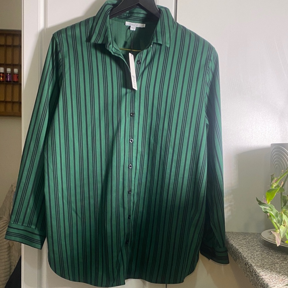 Green Striped Button Down Shirt